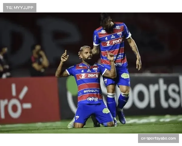 巴甲争冠队弗拉门戈进攻多样性研究 边中结合成效显著